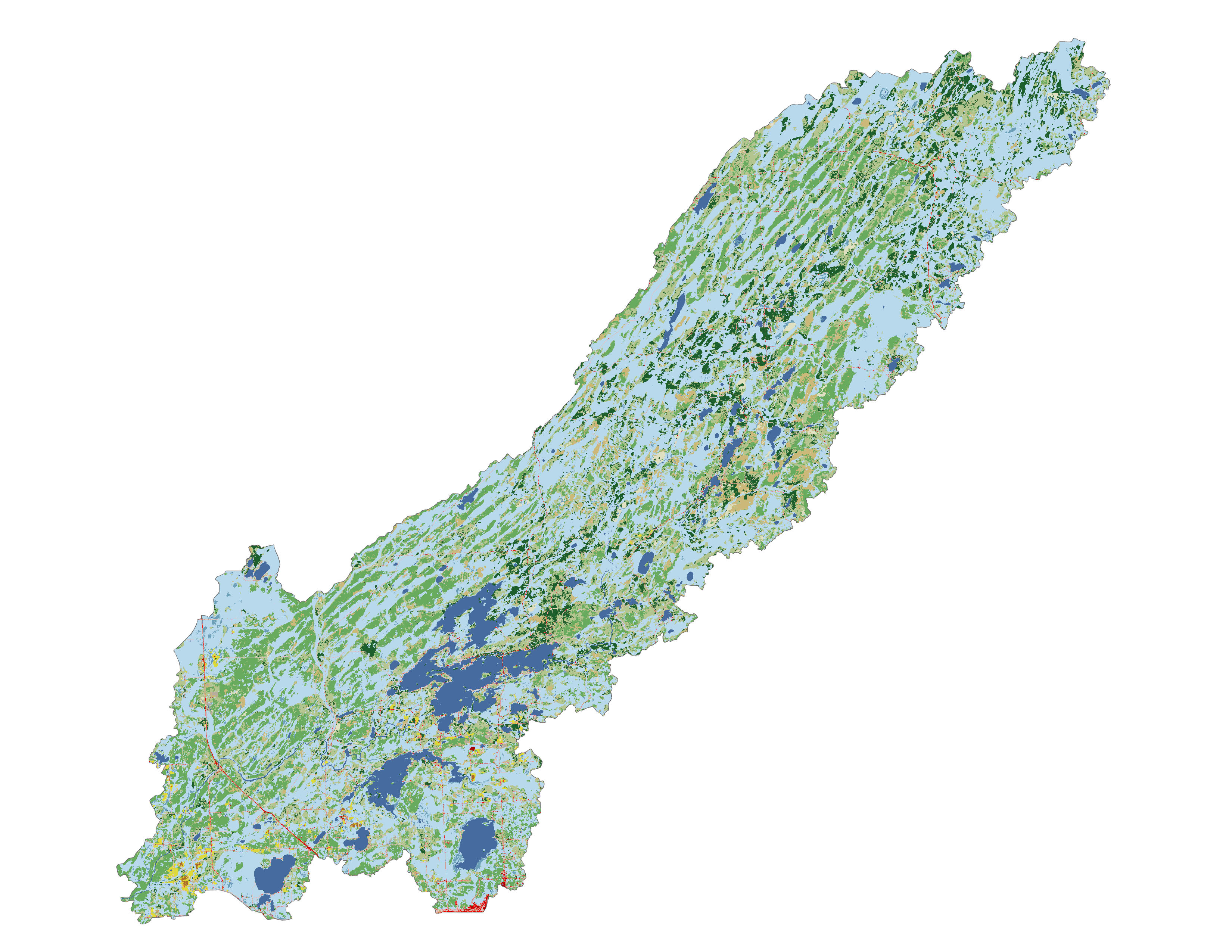 Figure 1.3: Land cover in the Cloquet subbasin.