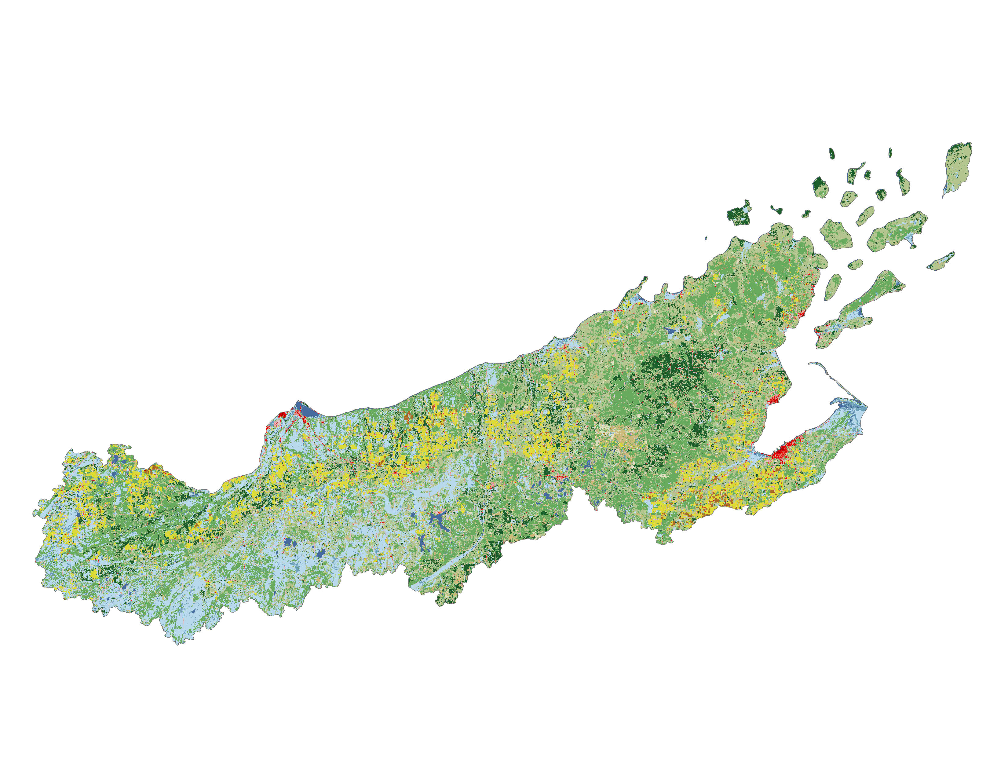 Figure 1.3: Land cover in the Beartrap-Nemadji subbasin.