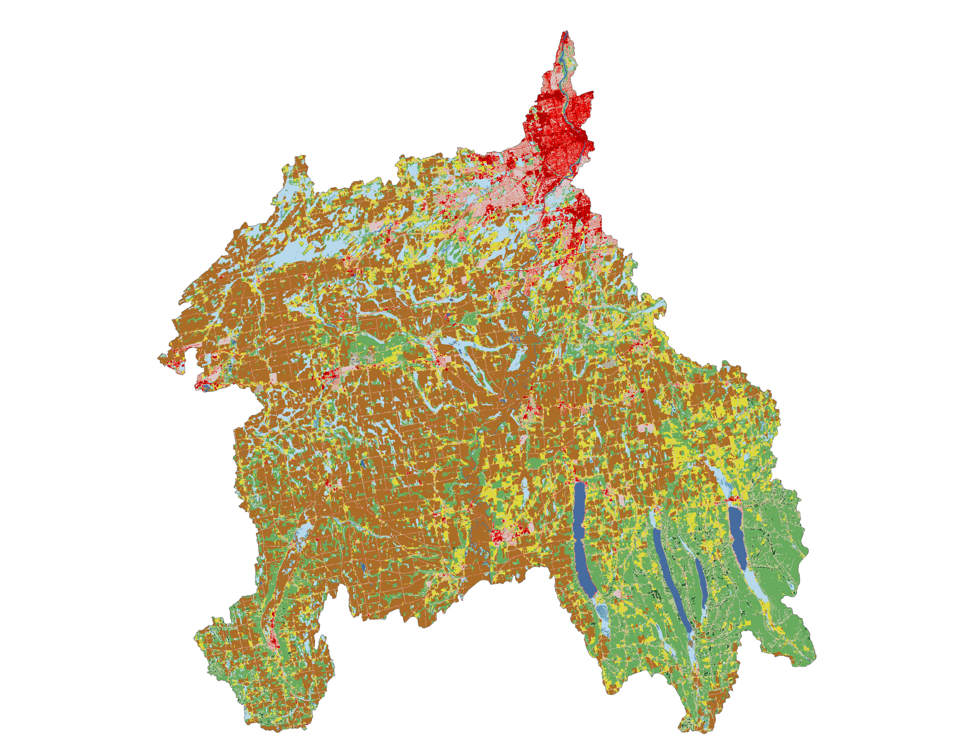 Figure 1.3: Land cover in the Lower Genesee subbasin.